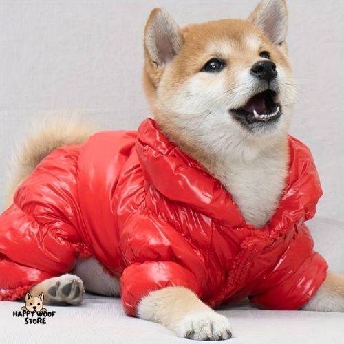 🌟 Glory Puffer Mont 🌟