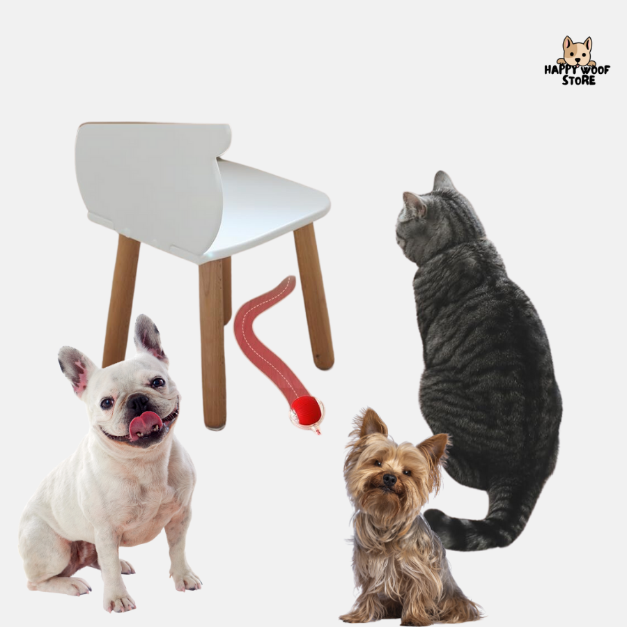 🐾 Hareketle Aktifleşen, Sensörlü Akıllı Kedi & Köpek Topu 🎉