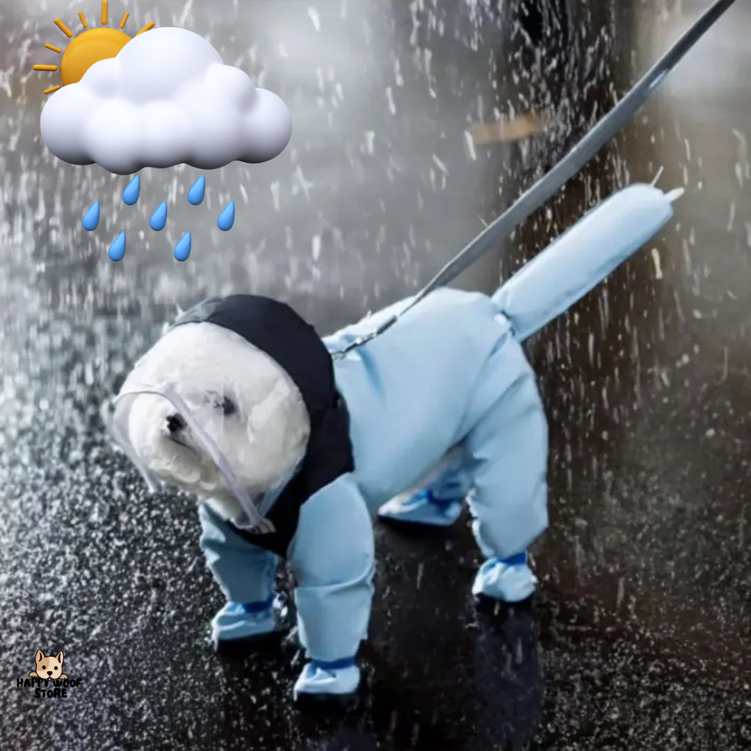 🐾 Su Geçirmez Köpek Yağmurluğu - Kuru ve Mutlu Patiler İçin! ☔️