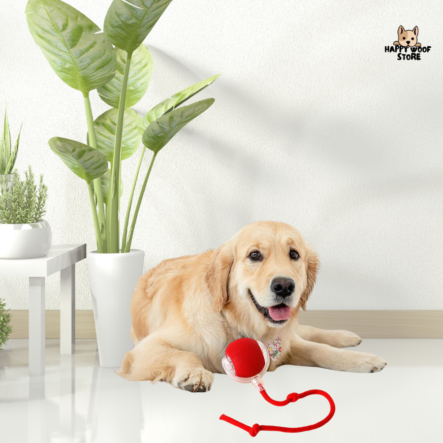 🐾 Hareketle Aktifleşen, Sensörlü Akıllı Kedi & Köpek Topu 🎉