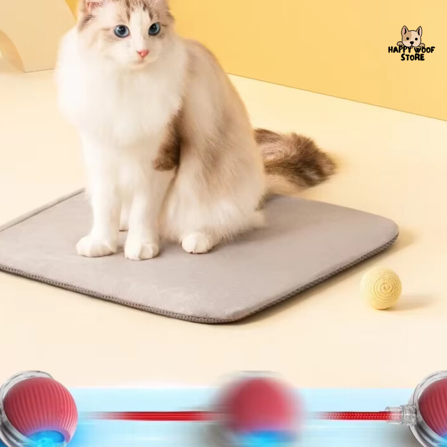 🐾 Hareketle Aktifleşen, Sensörlü Akıllı Kedi & Köpek Topu 🎉