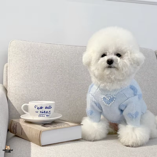 İnci Detaylı Mavi Kalp Desenli Kazak 🐾💙