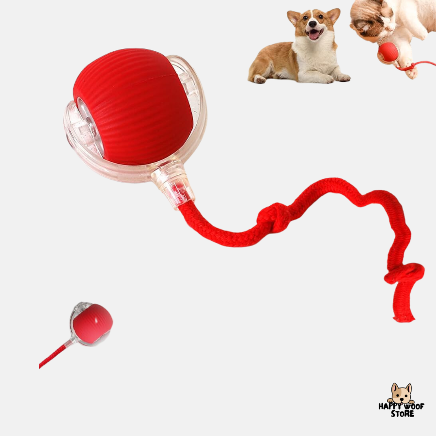 🐾 Hareketle Aktifleşen, Sensörlü Akıllı Kedi & Köpek Topu 🎉