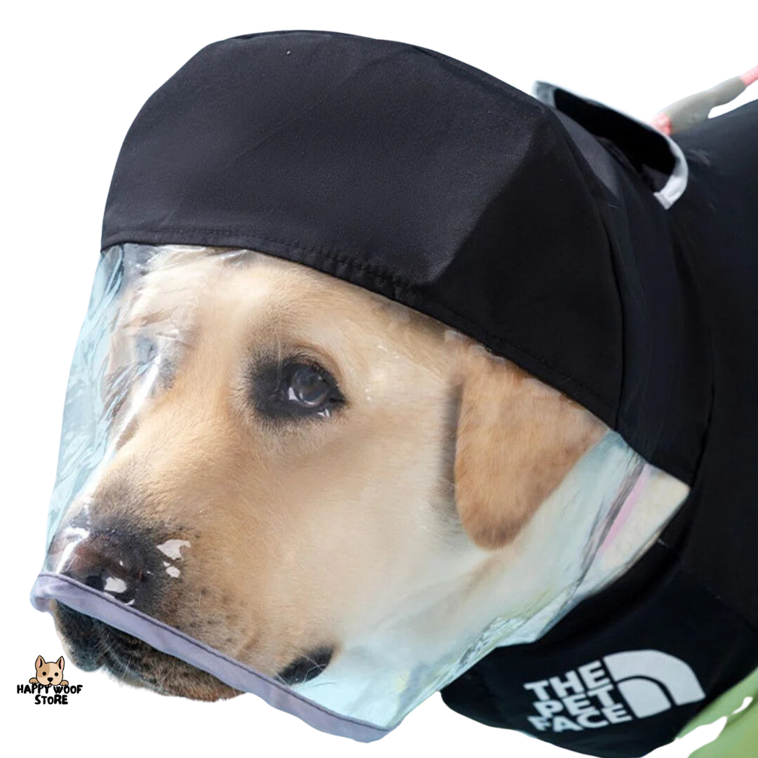 Su Geçirmez Büyük Beden Köpek Yağmurluğu 🌧️🐾