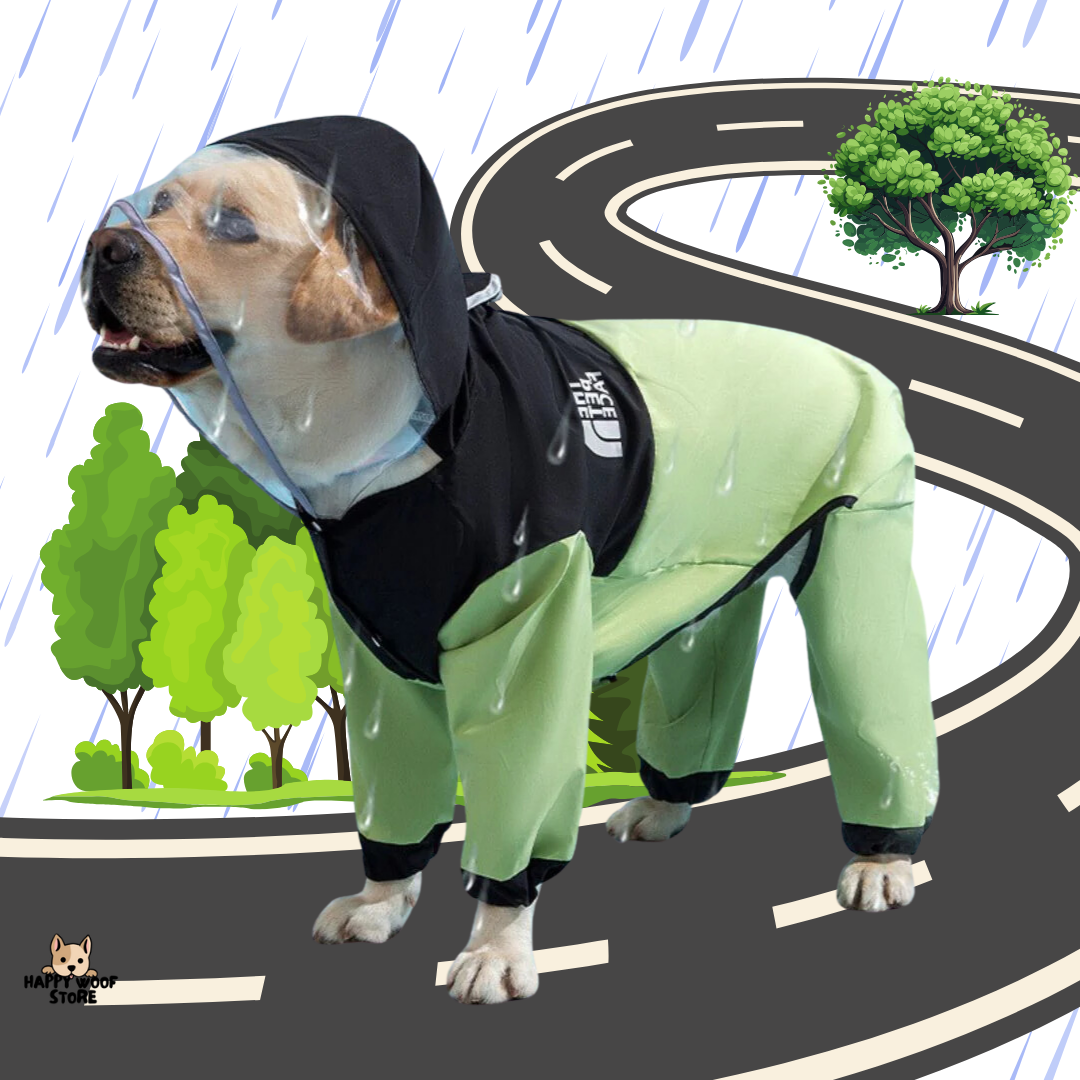 Su Geçirmez Büyük Beden Köpek Yağmurluğu 🌧️🐾