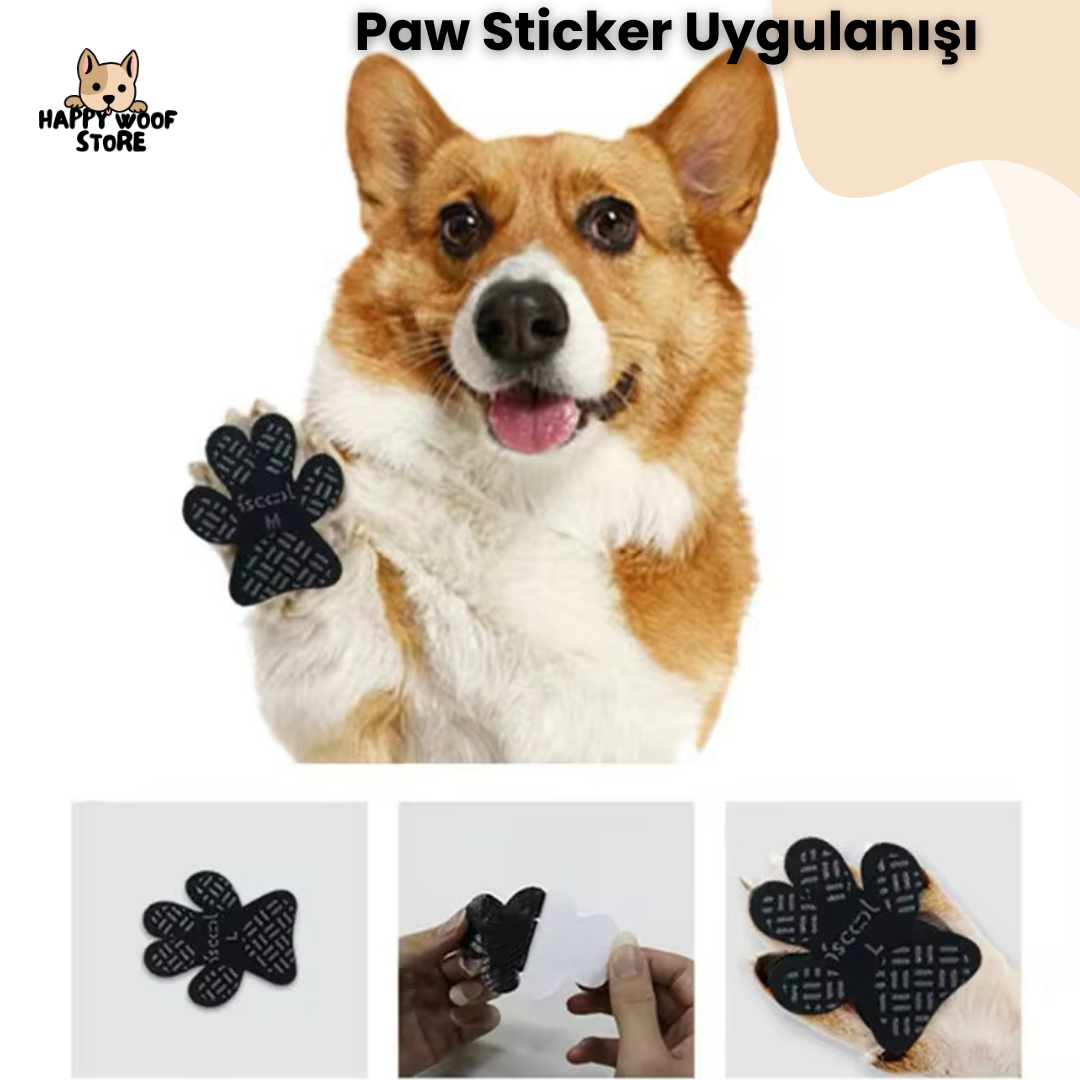 🐶 Paw Sticker 🐶