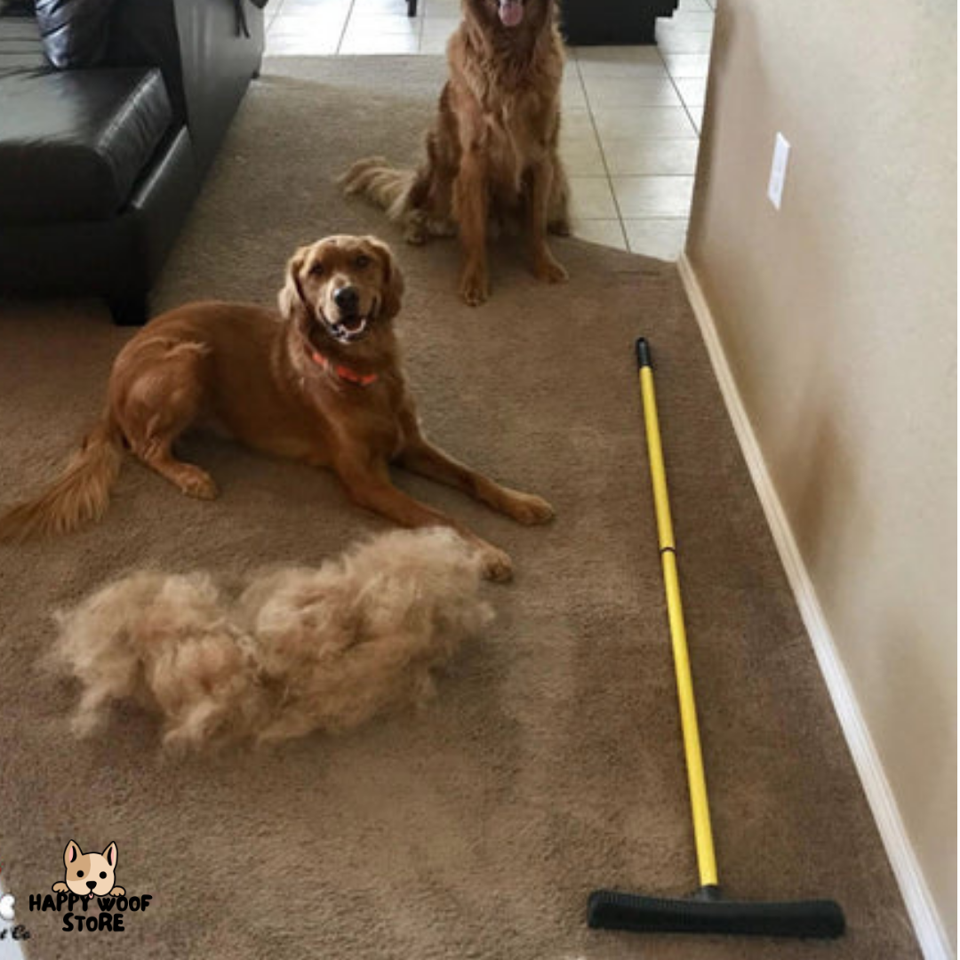 🐾 Pet Vacuum ™ - Süpür ve Evin Tertemiz ! 🐾