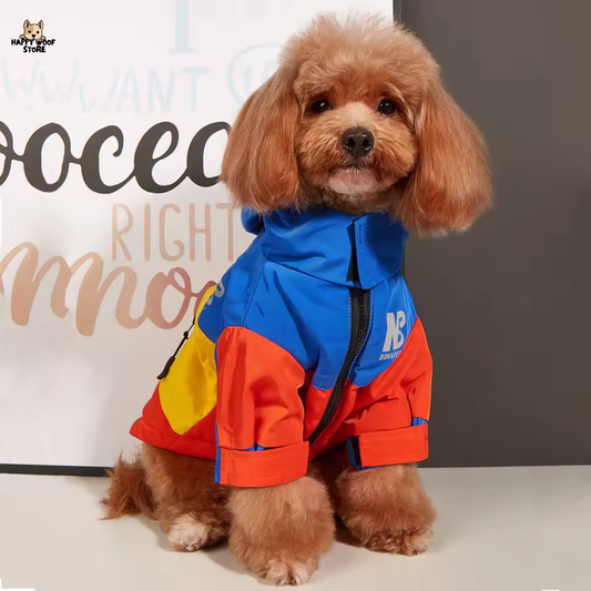 🌈 Renkli Yağmurluk – Şıklık ve Yağmur Koruması Bir Arada! 🌧️🐾