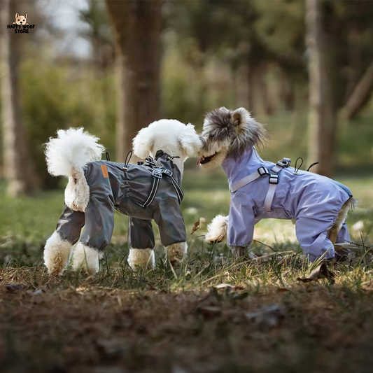 🌧️ Su Geçirmez Tasmalı Tulum – Özel Tasarım ! 🐾✨