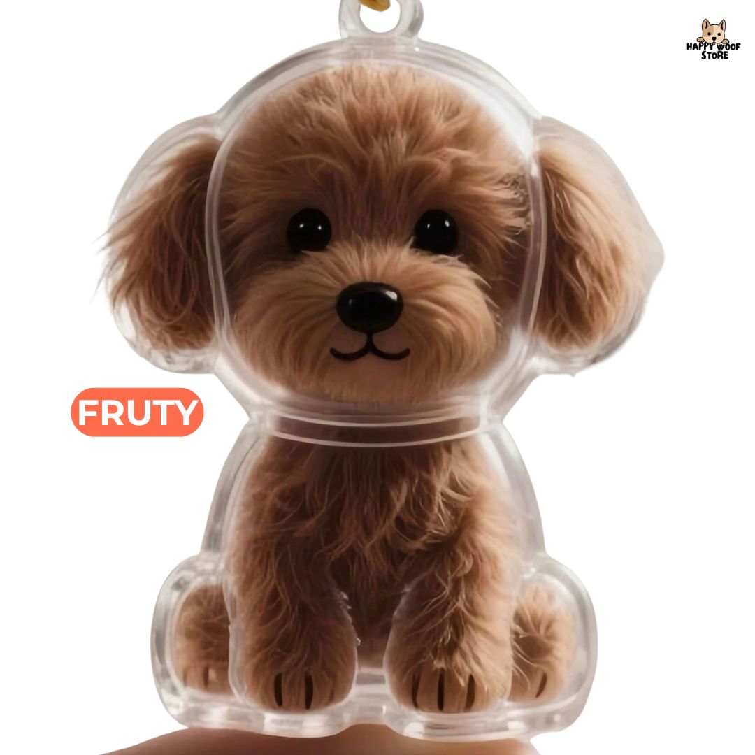 PawCharm ™ 🐶🐱