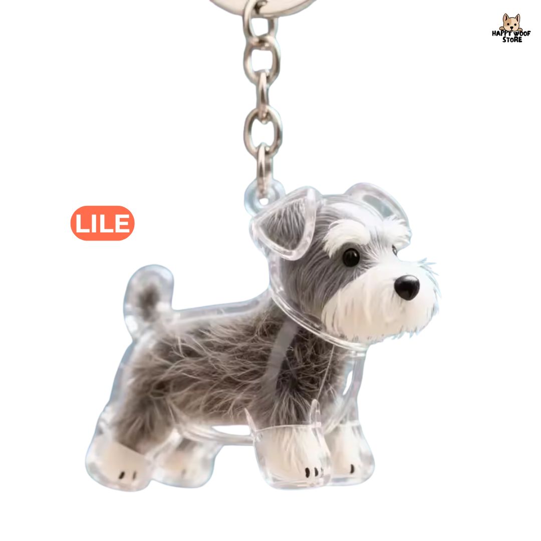 PawCharm ™ 🐶🐱