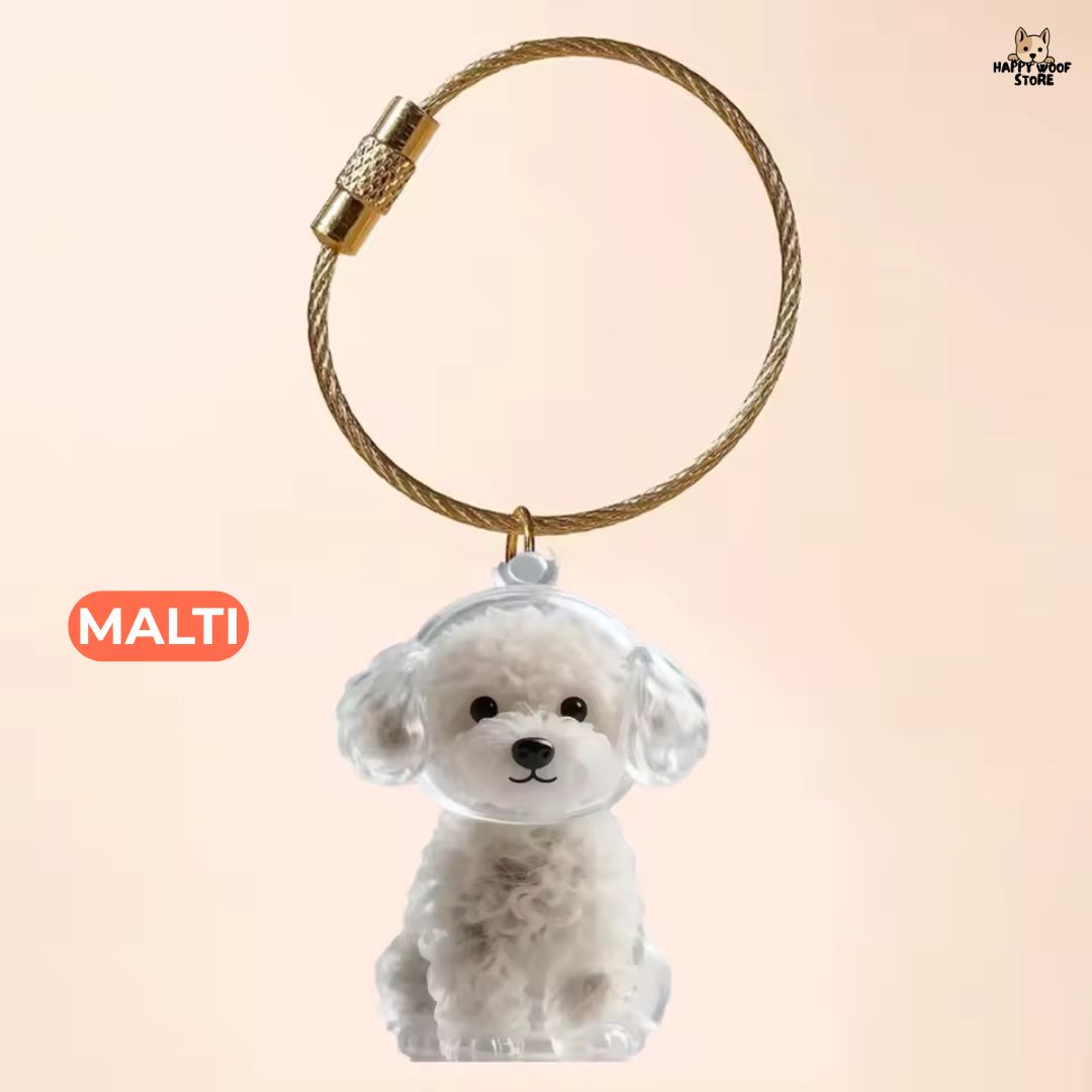 PawCharm ™ 🐶🐱