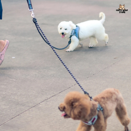 🐾 İkili Tasma Eklentisi - Çift Köpek Yürüyüşü İçin Dayanıklı Çözüm 🌟