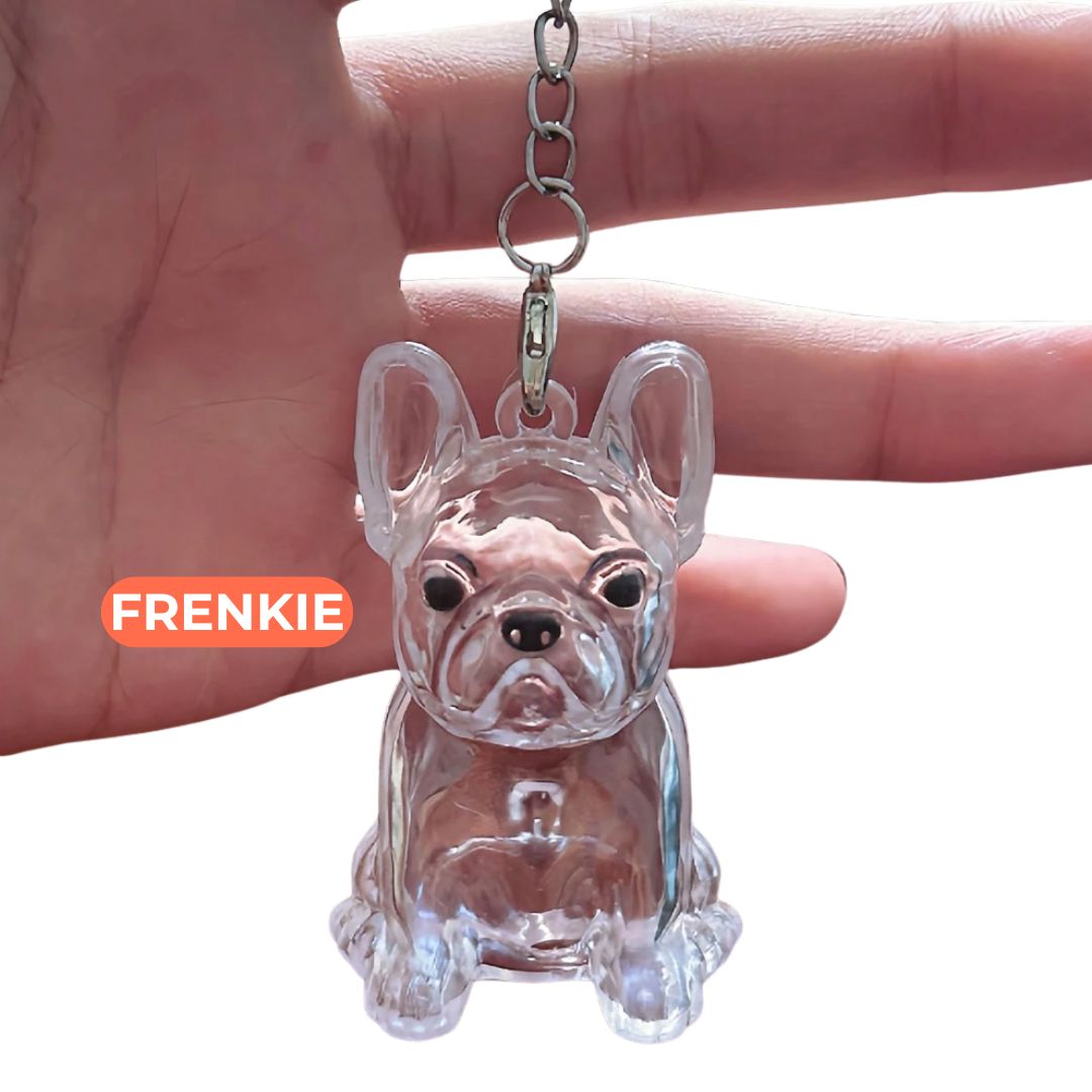 PawCharm ™ 🐶🐱