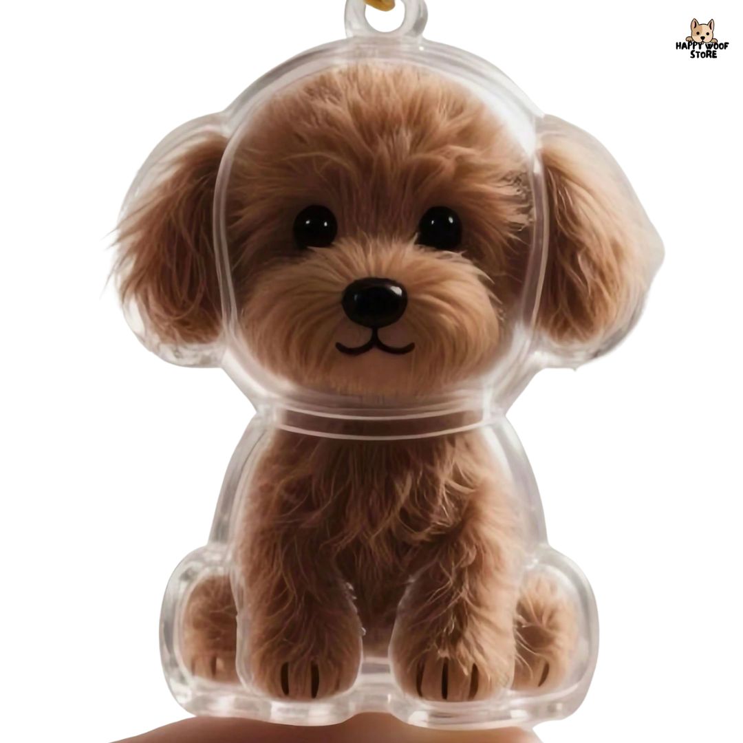 PawCharm ™ 🐶🐱