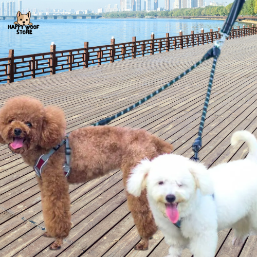 🦮 İkili Tasma Eklentisi 🐕‍🦺