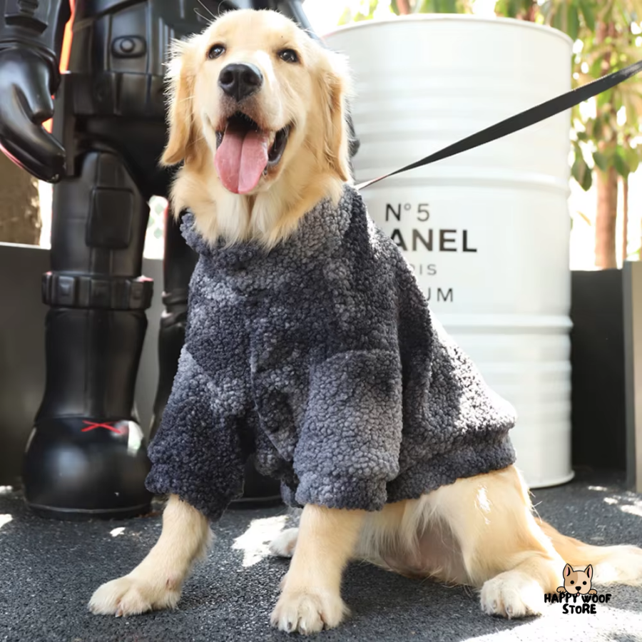 Büyük Köpekler 🌴