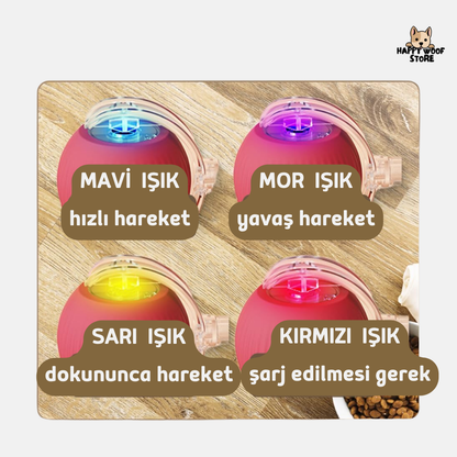 🐾 Hareketle Aktifleşen, Sensörlü Akıllı Kedi & Köpek Topu 🎉
