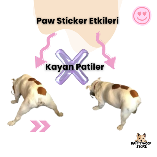 🐶 Paw Sticker 🐶