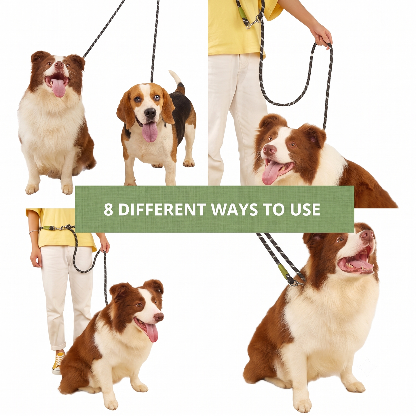 Hands-Free Dog Leash - Comfortable and Safe Walks 🦮😍