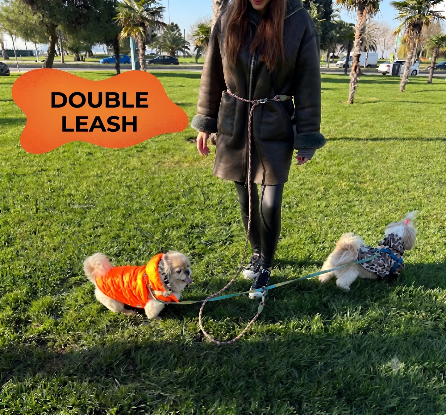 Hands-Free Dog Leash - Comfortable and Safe Walks 🦮😍