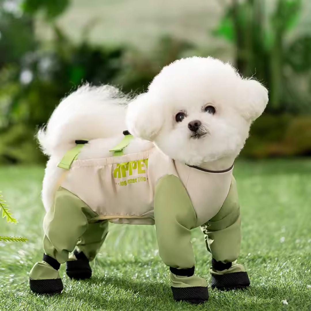 PawGuard™ Kirlenme Karşıtı Tulum 💦✨