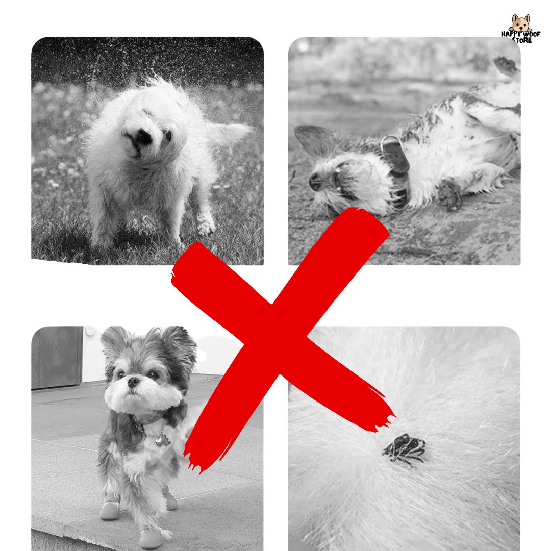 PawGuard™ Kirlenme Karşıtı Tulum 💦✨