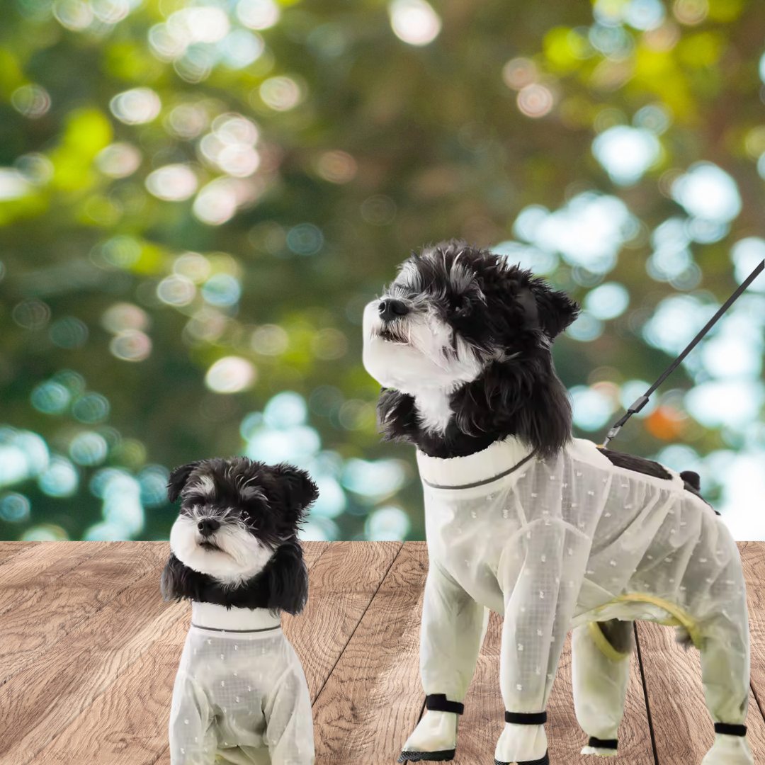 PawGuard™ Kirlenme Karşıtı Tulum 💦✨