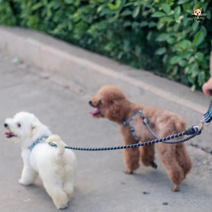 🐾 İkili Tasma Eklentisi - Çift Köpek Yürüyüşü İçin Dayanıklı Çözüm 🌟