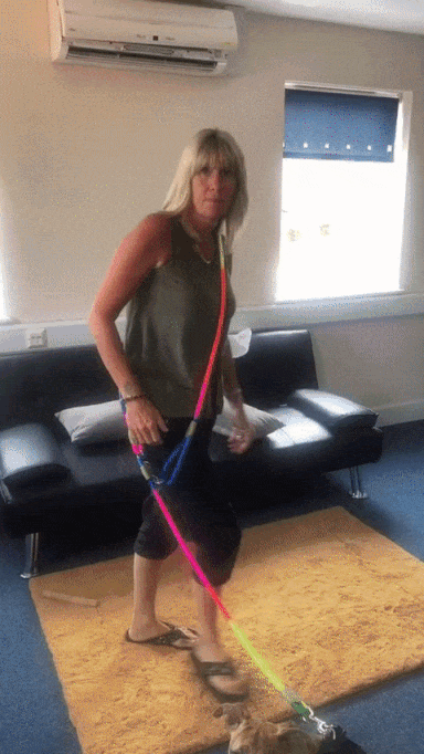 ezgif.com-video-to-gif (1).gif__PID:2c653466-ebd1-44cc-ba0c-336a0c4b7071