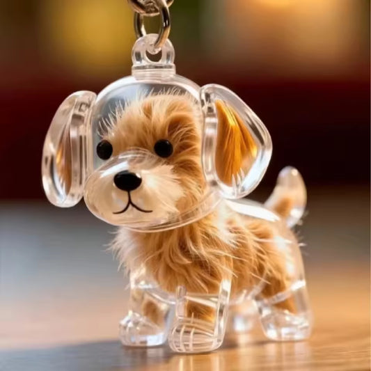 PawCharm ™ 🐶🐱