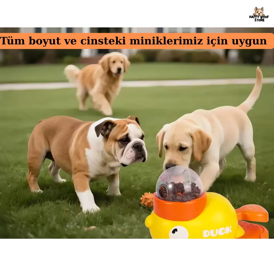 Ducky Duck ™ Zeka Geliştiren Oyuncak 🤩